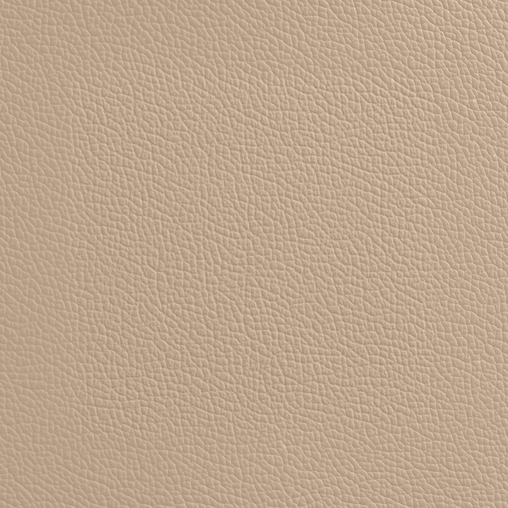 Fabric Samples