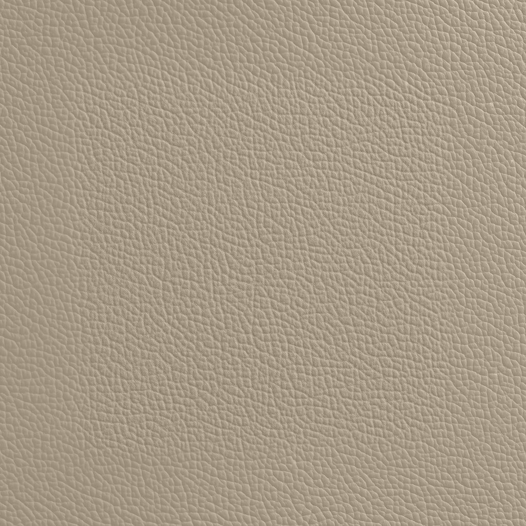 Fabric Samples
