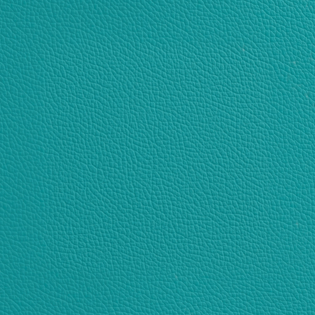 Fabric Samples