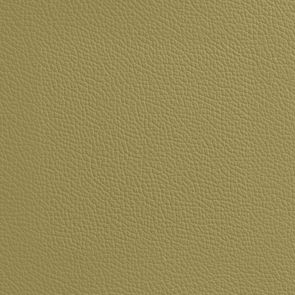 Fabric Samples